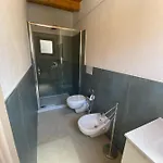 Pettirosso 3* سان تيودورو