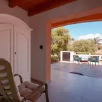 Pettirosso San Teodoro