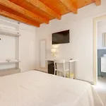 Pettirosso San Teodoro