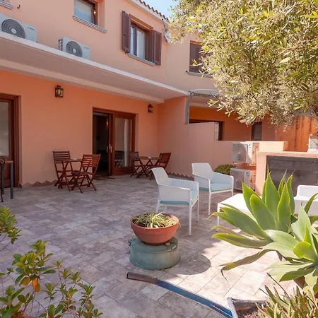 Pettirosso San Teodoro (Sardinia)