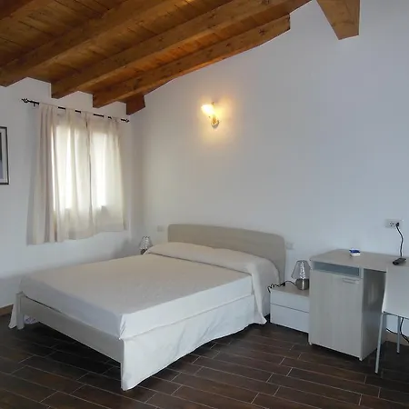 Pettirosso San Teodoro (Sardinia)