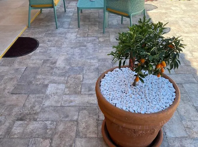 Bed and breakfast Pettirosso San Teodoro (Sardinia)