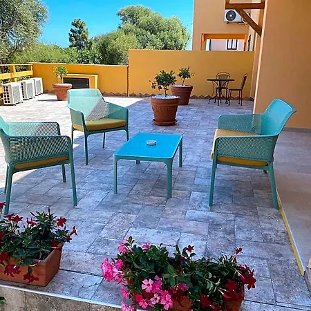 Pettirosso San Teodoro (Sardinia)