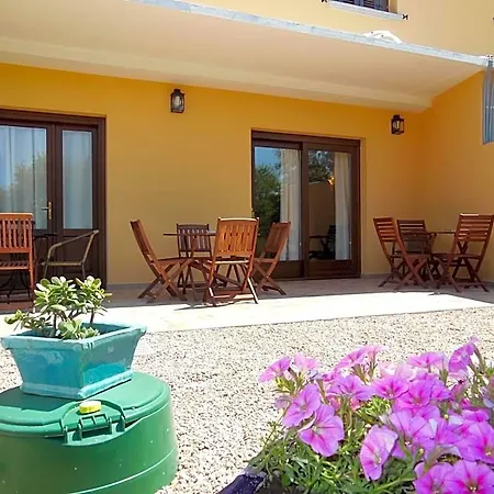 Pettirosso San Teodoro (Sardinia)